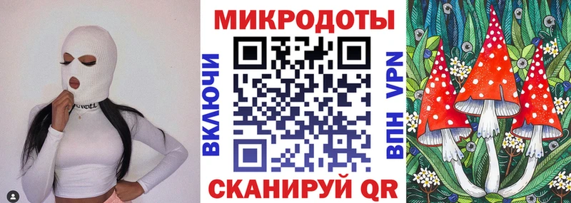где купить Курган Галлюциногенные грибы Psilocybe