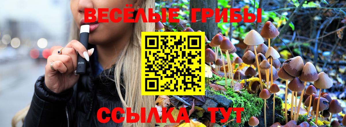 Галлюциногенные грибы мухоморы  Вход с VPN  Галлюциногенные грибы Psilocybe  Курган 